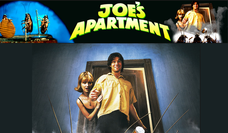 Joe’s Apartment – India’s Kolkata