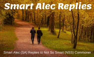 smart-alec